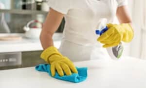 Lavoratore domestico