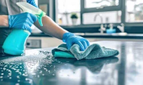 Lavoratori domestici stranieri
