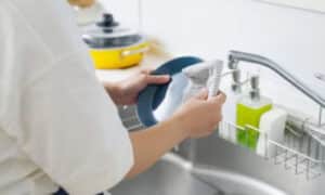 ccnl colf e badanti livelli